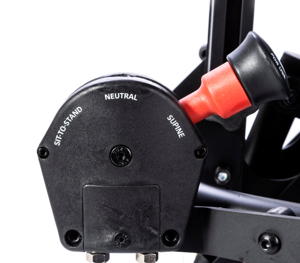 Bantam Medium - Supine